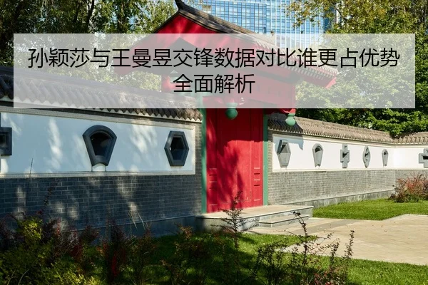 孙颖莎与王曼昱交锋数据对比谁更占优势全面解析